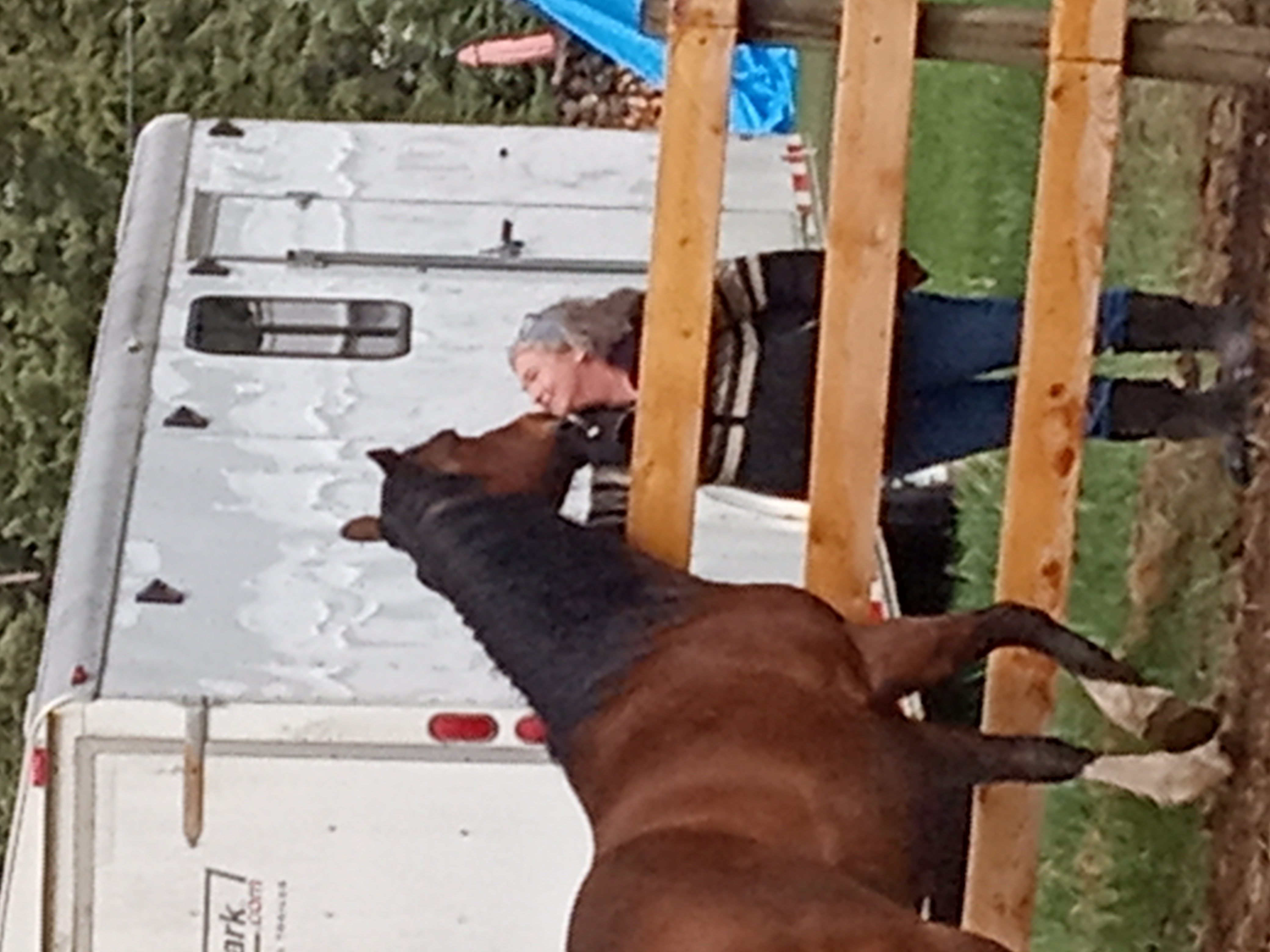 Loraine with a horse at the trailer — Barrier Mountain Outfitters
