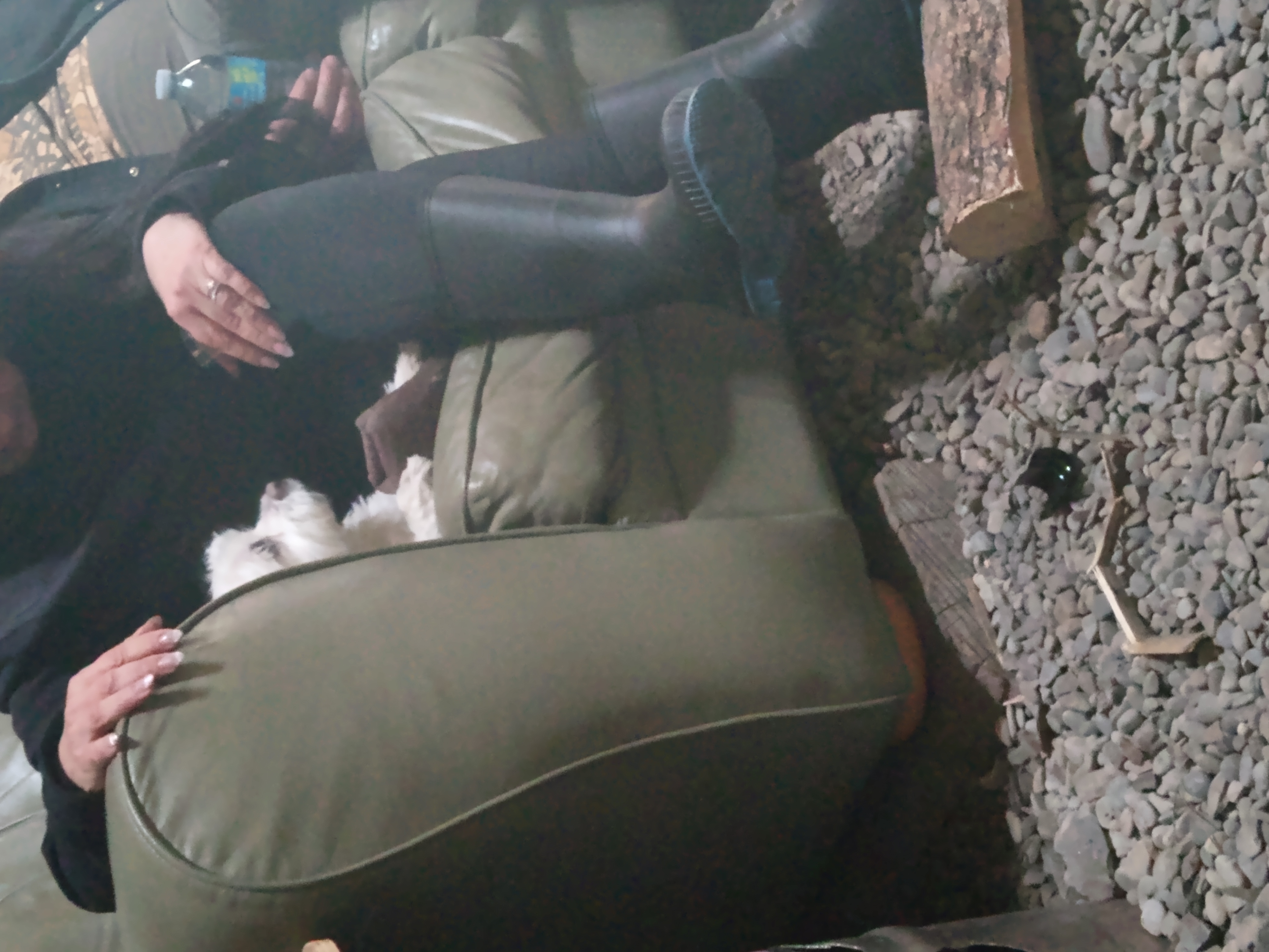 Guests relaxing in the common area lodge with a dog — Barrier Mountain Outfitters