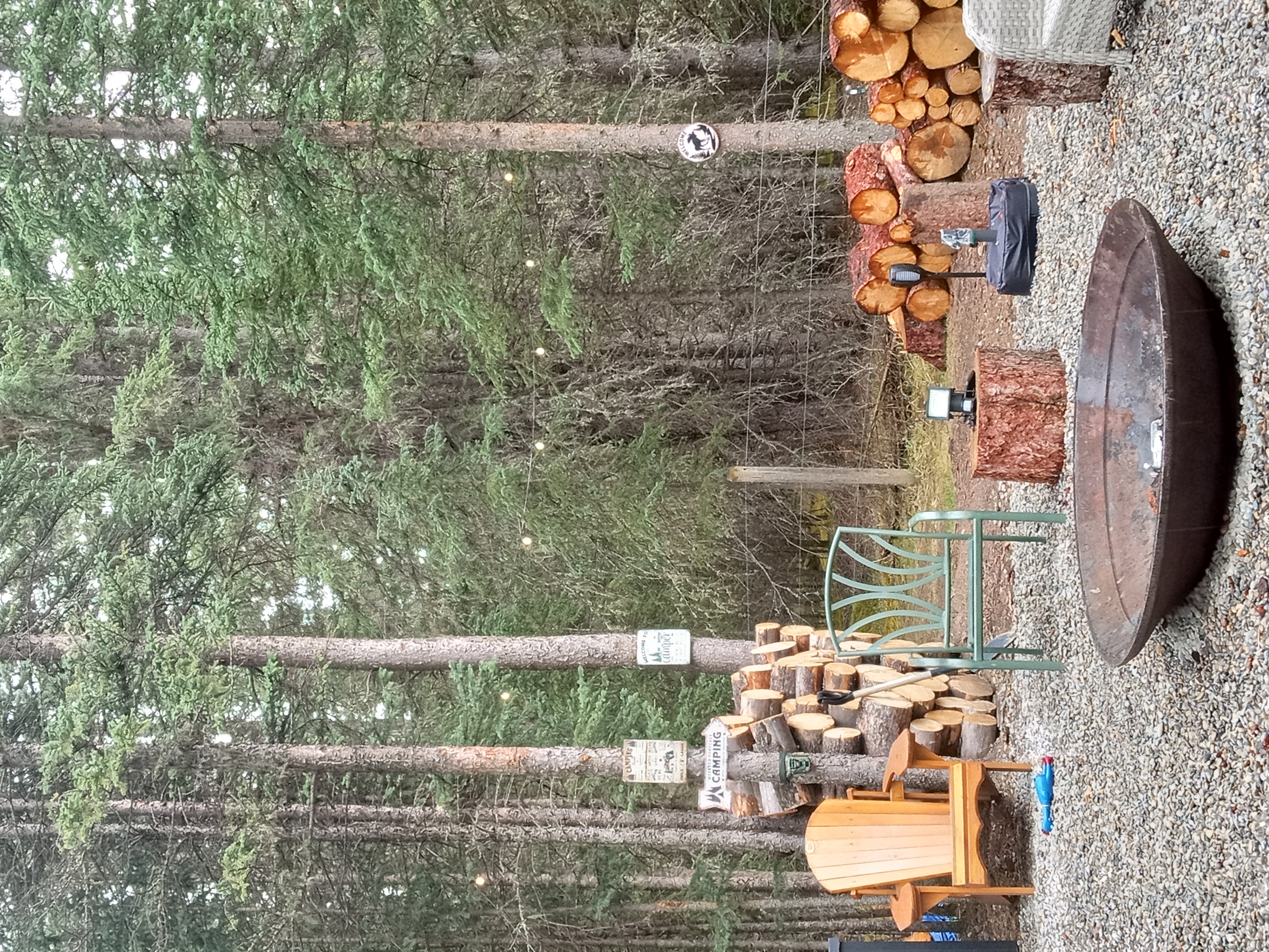 Firepit area with firewood and Adirondack chair among the pines — Barrier Mountain Outfitters